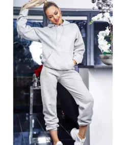 CW Brie harmaa huppari